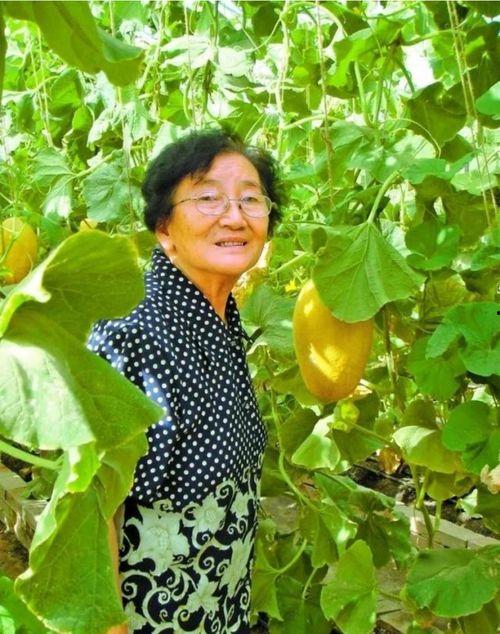 娱乐吃瓜酱老人养凤凰,揭秘娱乐界老人与神秘凤凰的传奇故事